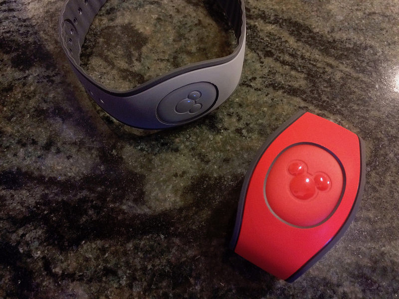 Disney World Magic Bands - keep these on your 2 year old and 3 year old to keep them safe